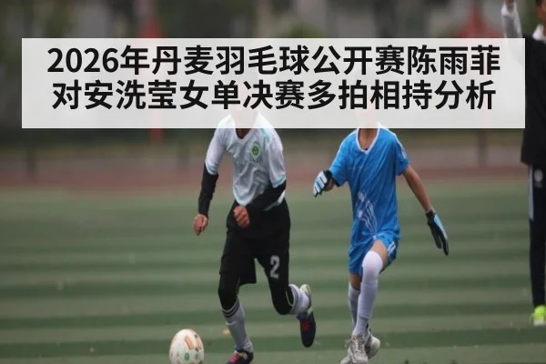 2026年丹麦羽毛球公开赛陈雨菲对安洗莹女单决赛多拍相持分析